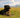 Dog sat in long grass in the sun