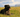 Dog sat in long grass in the sun
