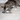 Tabby and white kitten playing with realistic trout fish cat toy pictured on a carpet.