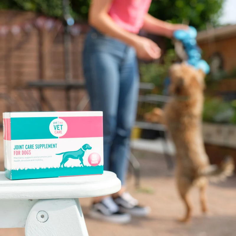 PDSA Vet Care Joint Supplement Dogs with dog outside