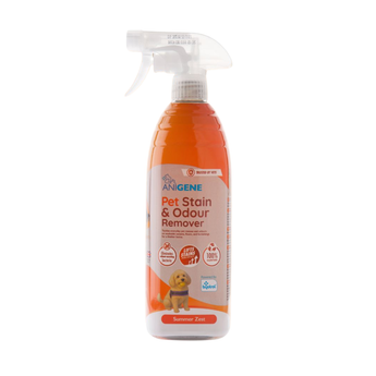 A bottle of ANIGENE Pet Stain & Odour Remover spray with a clear trigger sprayer and orange label, shown on a plain white background.