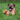 Mastiff dog lying in the grass with An Ancol Heritage Highland cow plush dog toy with shaggy brown fur.