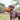 A brown English pointer dog holding an Ancol Heritage plush pheasant toy with a brown shaggy body in it's mouth, pictured outside on grass.