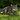 A brown tabby cat lying on green grass outdoors, wearing an Ancol bright neon green collar with a small bell.