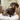 A brown and tan dachshund sat in a wicker chair with cushions and an Ancol plush mini leopard dog toy lying next to it.