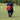 Black spaniel carrying an Ancol Mini Orangutan dog toy in it's mouth, pictured on grass.