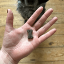 A hand is pictured with a bone shaped treat in the palm, with a dog's nose visibly waiting for the treat, the rest of the face is not visible. The dog is sat on a wooden floor.