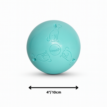 A bright mint blue polymer dog toy ball with embossed dog icons and the brand name 'Coachi' in the centre shown on a clean white background. Shown on a white background with a black dimension arrow labelled 4"/10cm below it.