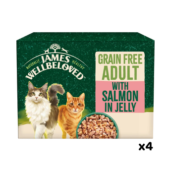 White background with a box of James Wellbeloved Grain Free Salmon Adult Wet Food. The tin is green and cream with 2 cats pictured, with text 'Grain Free Adult, Salmon in Jelly.