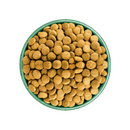 White background with a green bowl pictured filled with dog food kibbles.