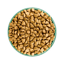 White background with a green bowl pictured filled with dog food kibbles.