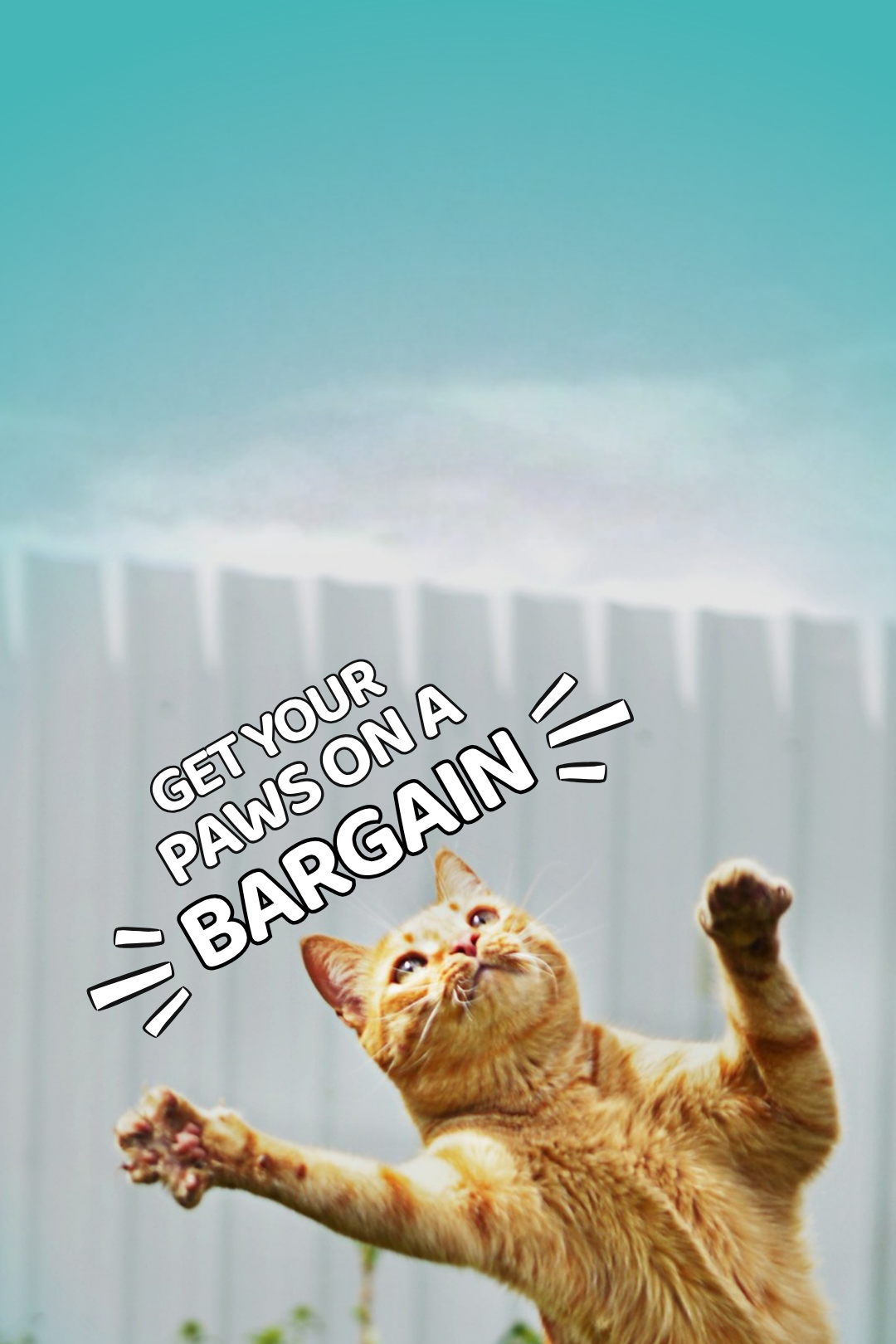 An orange tabby cat stretches upward with its paws extended against a white fence and turquoise sky background, with the text 'GET YOUR PAWS ON A BARGAIN' overlaid across the center.