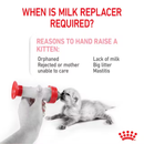 White background with a small white kitten being bottle fed pictured. The title above in red says 'When is milk replacer required' Below text says 'Reasons to hand raise a kitten', 'Orphaned, Rejected or mother unable to care, Lack of milk, Big litter, Mastitis'.