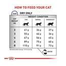 Royal Canin Dental for cats feeding guide.
