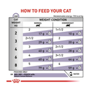 Royal Canin Mature Balance Cat dry food feeding guide.