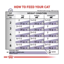 Royal Canin Feline Mature Consult wet food feeding guide.