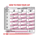 Royal Canin Feline Renal with Fish wet food feeding guide.