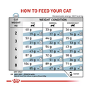 Royal Canin Skin & Coat Cat dry food feeding guide.
