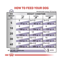 Royal Canin Mature wet dog food feeding guide.