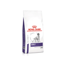White background with a bag of Royal Canin Medium Adult dry dog food with a English Setter dog pictured on the packet, text on the pouch says 'Royal Canin Expert, Adult. Medium Dogs'.