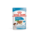 White background with a sachet of Royal Canin Mini Puppy in gravy. Pictured on the packet is a Jack Russell puppy, text on the tin states '2 -10 months'.