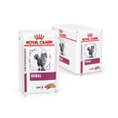 White background with a box of wet cat food pouches with an long haired tabby cat pictured on the box, text on the box says 'Royal Canin Veterinary, Renal, Loaf' In the foreground is a pouch with the same text and style as the box.