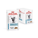 White background with a box of wet cat food pouches with an long haired tabby cat pictured on the box, text on the box says 'Royal Canin Veterinary, Skin & Coat, Thin slices in gravy' In the foreground is a pouch with the same text and style as the box.