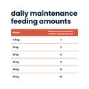White background with red highlights and black text in sections, 'daily maintenance feeding amounts', below is a detailed guide of cat and dog dosage based on the pet's weight.