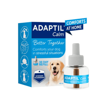 ADAPTIL Calm dog anxiety relief refill bottle and packaging box on a white background. The box is blue and white with a photo of a yellow Labrador retriever, and the bottle has a white cap and a blue label.