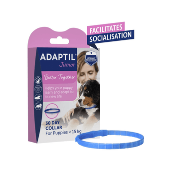 Adaptil Junior Collar and Packet
