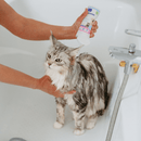 Person giving a cat a bath with a shampoo bottle in a bathtub