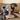A brown and tan dachshund sat on a green sofa with a plaid blanket and a grey Ancol plush Elephant dog toy sat next to it.