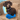 Brown and tan dachshund dog with a mini blue and white Ancol Made From Whale dog toy in-between it's paws while sat on a wicker chair.
