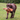 A chocolate Labrador dog carrying an Ancol 'Made From' brown plush pangolin, in it's mouth in a garden.