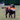 Chocolate Labrador carrying an orange and white Ancol Made From Puffer Fish dog toy, in a garden setting.