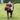 Chocolate Labrador dog carrying a orange and brown Ancol Rosa Red Panda dog toy in a garden.