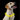Black background with a yellow Labrador wearing a hoop LED dog collar in yellow with a white control panel.
