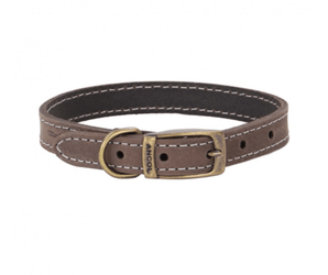 White background with a brown leather Ancol Timberwolf collar with a metal buckle and D-ring.