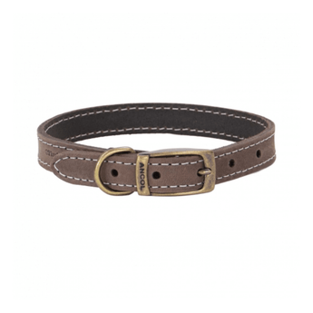 White background with a brown leather Ancol Timberwolf collar with a metal buckle and D-ring.