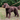 Brown spaniel-type dog wearing a collar with a brown leather Ancol Timberwolf lead attached.