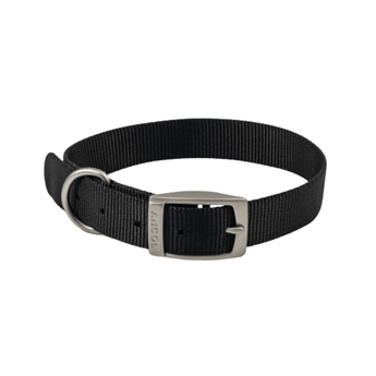 White background with a black Ancol Buckle collar with a metal buckle and D-ring.