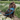 Brown poodle cross type dog wearing a black Ancol Harness and Padded lead, sat on a path in a field.