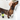 Brown dachshund type dog in a bath tub, with a hand washing the dog's head, a bottle of Animology Deep Clean Shampoo is in the bath tub next to the dog.