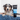 Blue Marl collie dog sat in a bathtub with a blue bathmat on the side. With a black and blue bottle of Animology Hair of the Dog, anti tangle dog shampoo in the foreground.