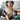 Blue Marl collie dog sat on a grey sofa, with a someone brushing them, sat next to a black and aqua blue spray bottle of Animology Knot Sure detangle spray.