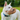 Large white dog wearing a brown basket Baskerville CLASSIC dog muzzle and a blue collar in a garden.