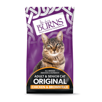 White background with a purple bag of Burns Adult Cat food. On the bag an adult brown tabby cat is pictured with text 'All Breeds, Indoor & Outdoor, Adult & Senior, Original, Chicken & Brown Rice'