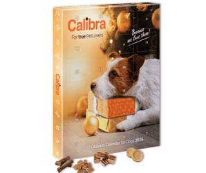 Calibra Dog Advent Calendar for 2026, featuring a Jack Russell Terrier on the cover with Christmas ornaments and treats displayed in front, set against a plain white background.