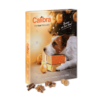 Calibra Dog Advent Calendar for 2026, featuring a Jack Russell Terrier on the cover with Christmas ornaments and treats displayed in front, set against a plain white background.