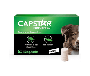 CAPSTAR tablet packaging for large dogs with a dog image on a white background